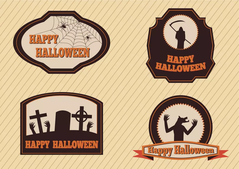 Everything You Need to Know About Halloween Festivities