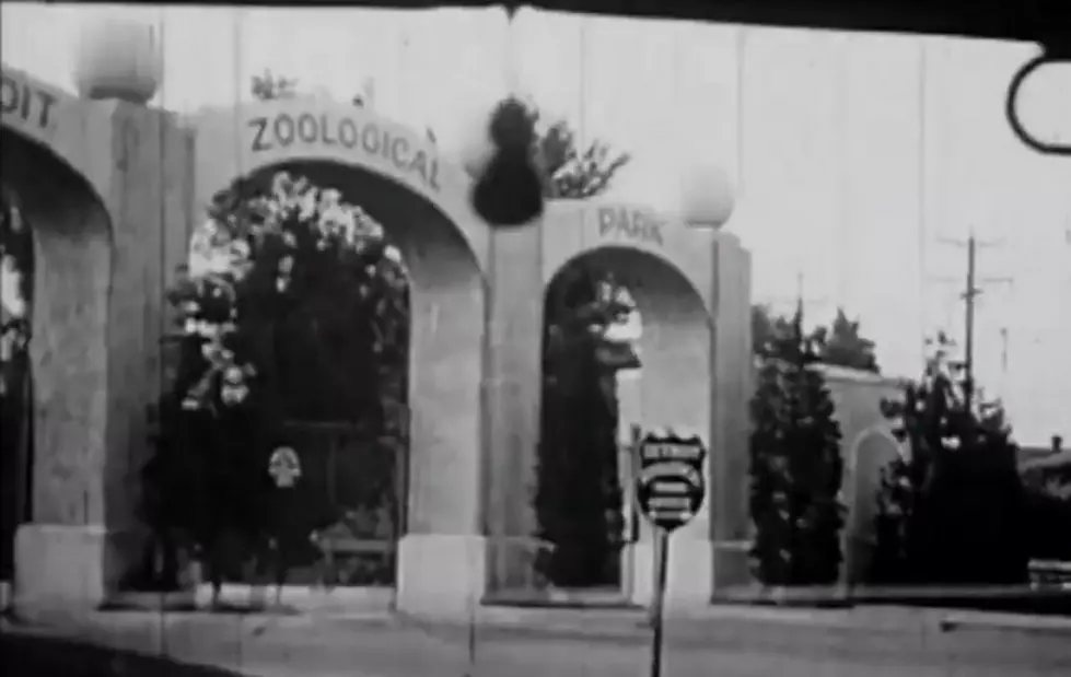 Vintage Photos of Michigan’s Most Famous Wildlife Menagerie: the Detroit Zoo, 1940s