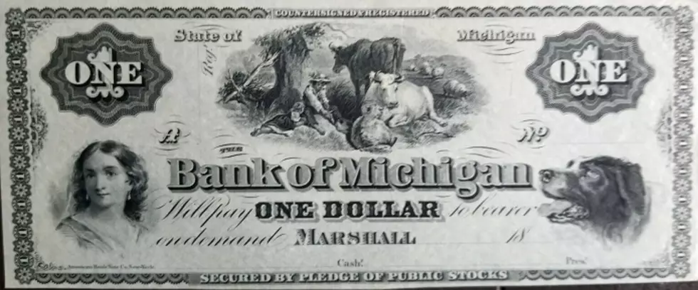 Michigan’s Money & Bank Notes of the 1800s