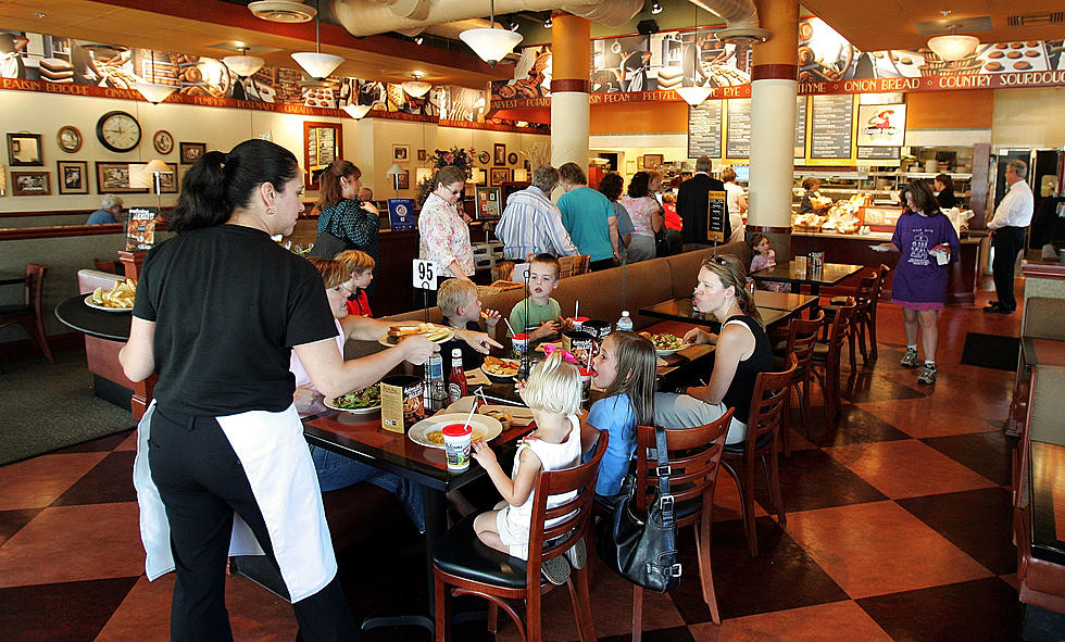 Restaurants in Greater Lansing Back in Business Again