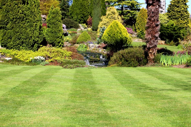 Best Ways to Keep Your Yard Looking Great