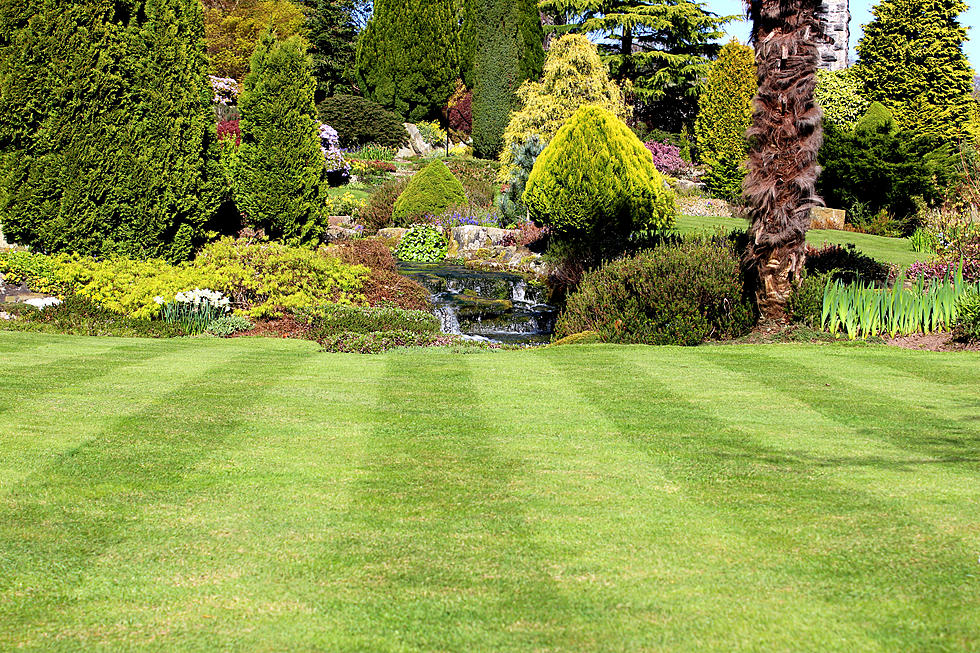 Best Ways to Keep Your Yard Looking Great