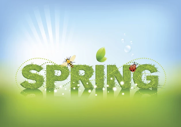 Favorite Spring Activities For the Whole Family to Enjoy