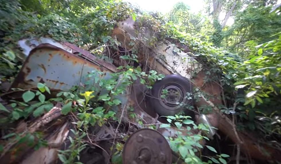 A Decades-Old Auto Graveyard Sits at the Bottom of a Cliff: St. Joseph, Michigan