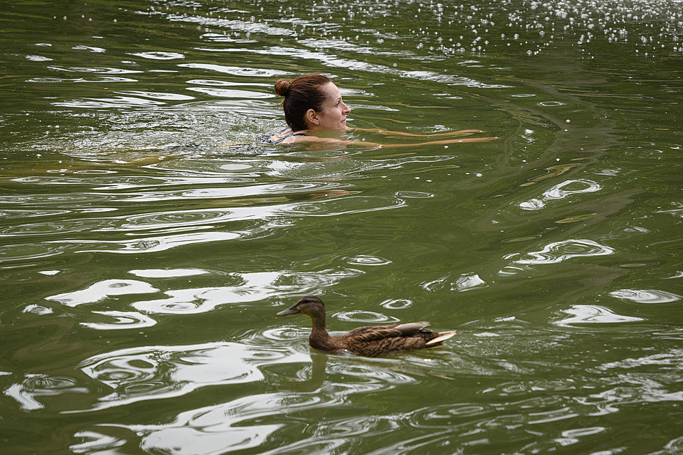 Michigan Lakes Dealing With Swimmers Itch This Summer, is Your Favorite Lake on The List?