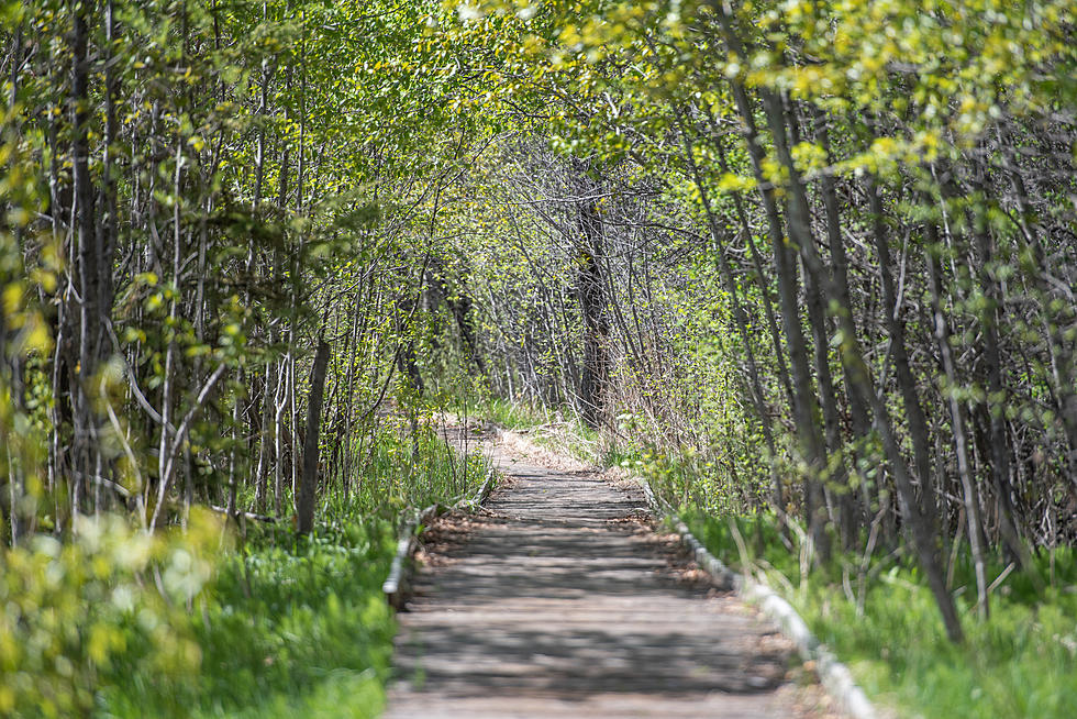 Lansing River Trail Stretches From Forest Road to East Cavanaugh