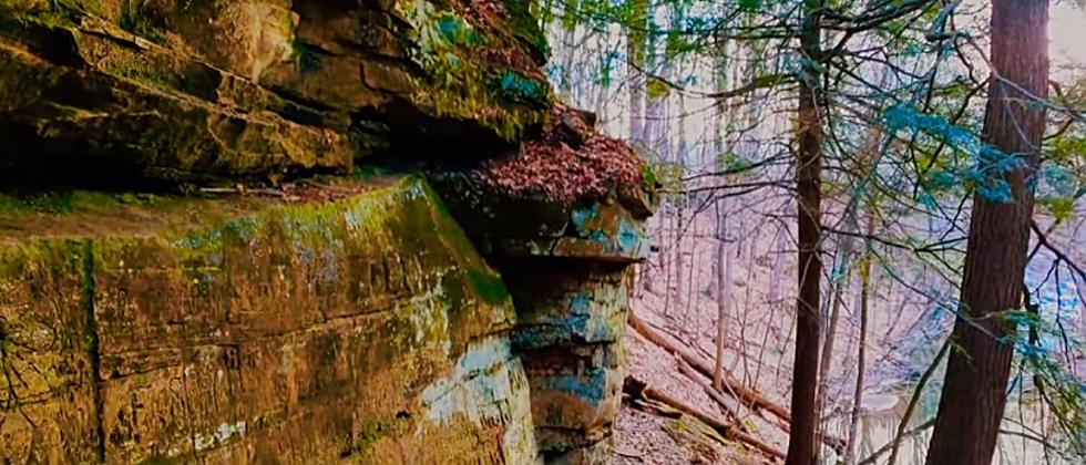 300 Million Years Old: The Ledges in Grand Ledge