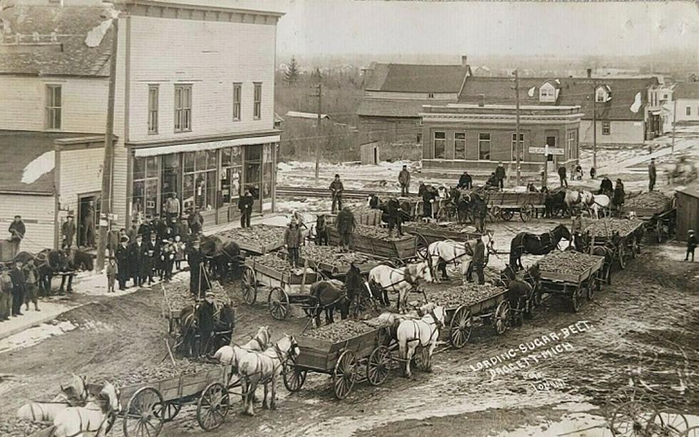 Michigan’s Sugar Beet Boom, 1884-1913