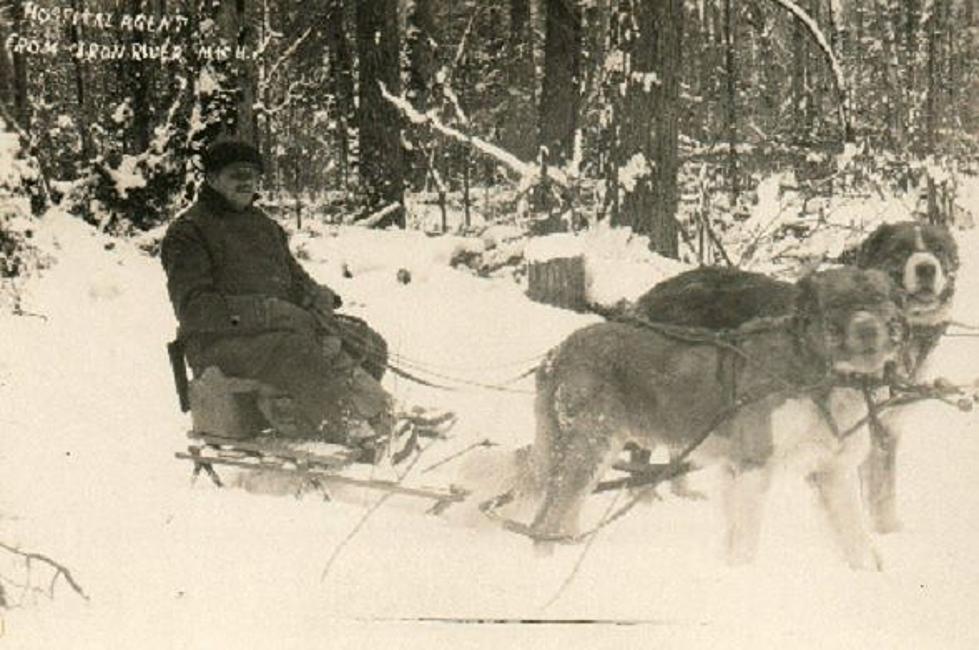 Dog Sledding In Michigan, 1886-1953