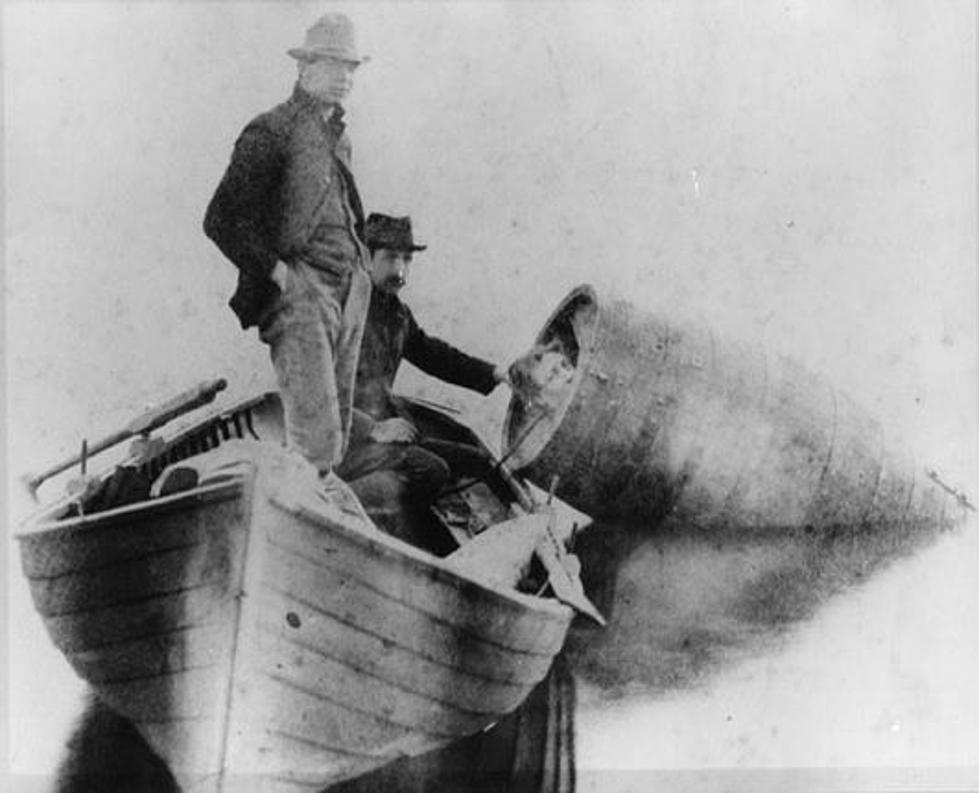 The First Person To Survive Niagara Falls in a Barrel Was a Michigan Woman