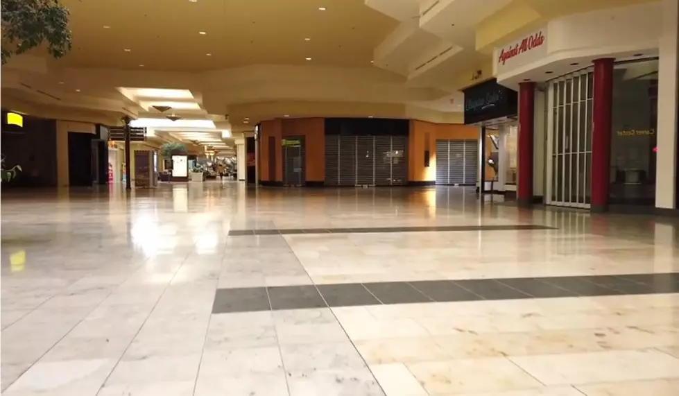The Empty Halls of the Lansing Mall