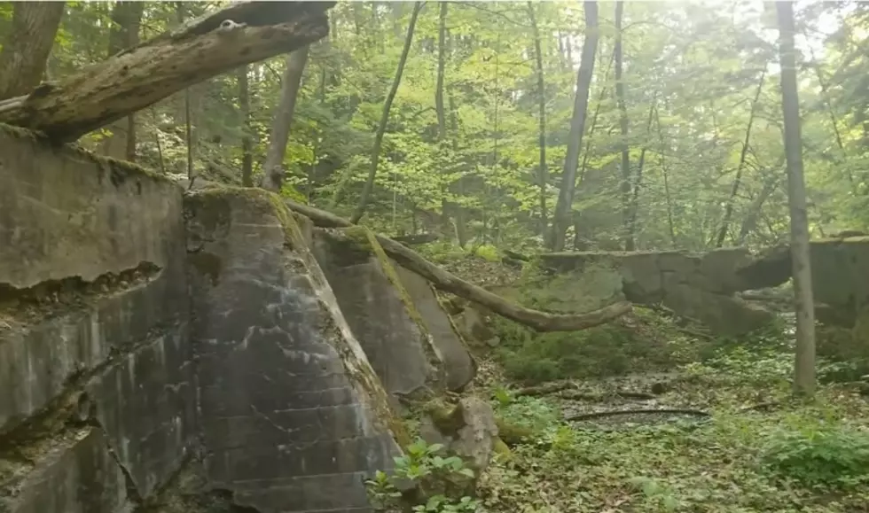 What Are These Unidentified Abandoned Ruins in Newaygo, Michigan?