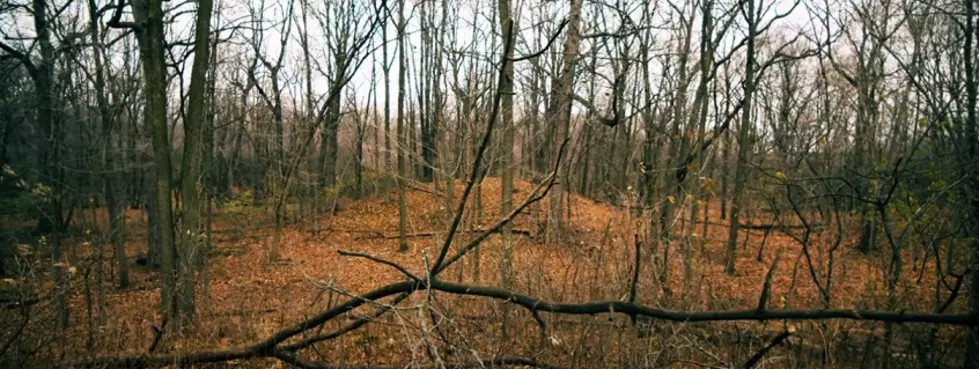 Dating Back 2000 Years &#8211; the Hopewell Burial Mounds: Grand Rapids, Michigan