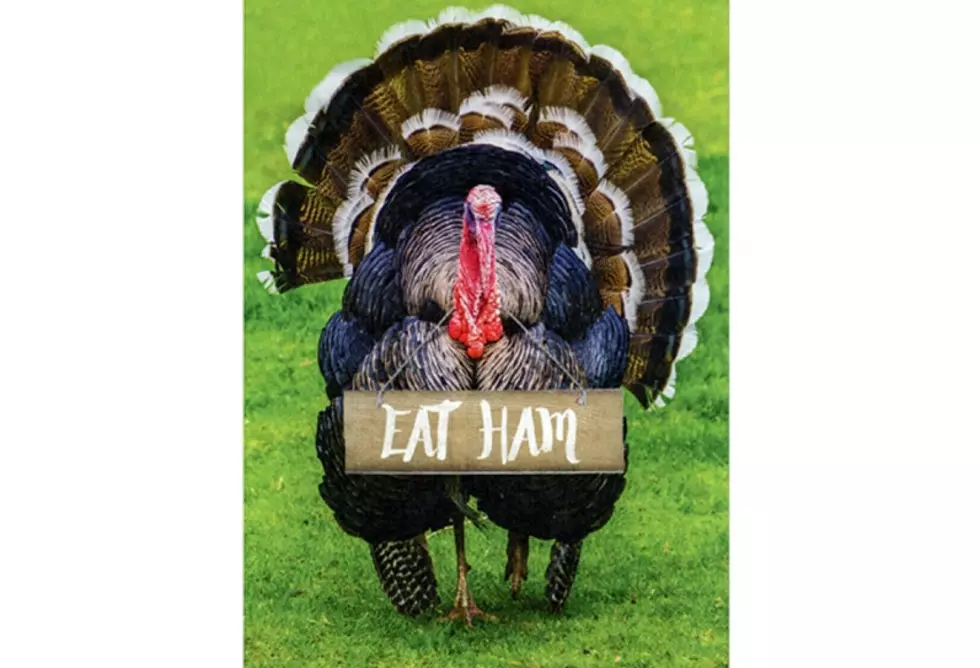 Celebrating the Mighty Turkey