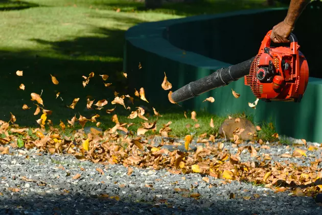 Can I Mow Leaves Instead of Raking Them or Using a Leaf Blower?
