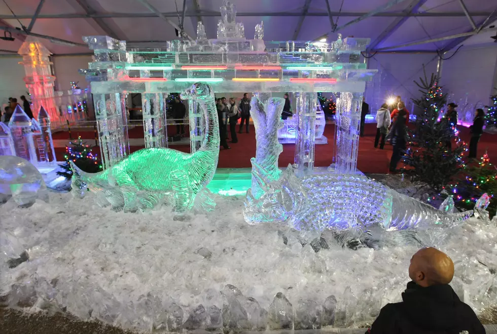 80 Plus Sculptures at Dexter’s Fourth Annual Ice Fest