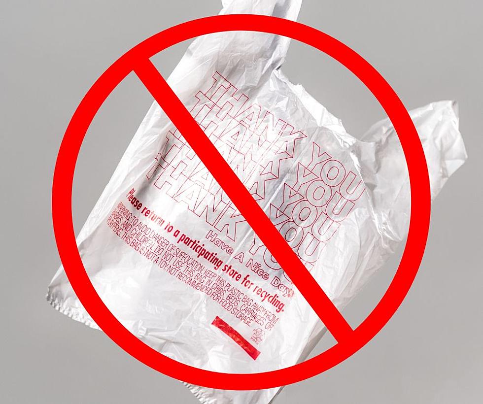 MI Senate Introducing Bill Banning The Banning of Plastic Bags