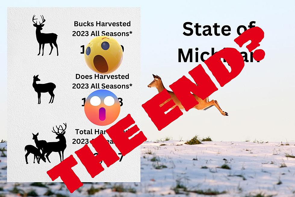 THE END? Dismal Michigan Deer Harvest Numbers: 83 County Rank
