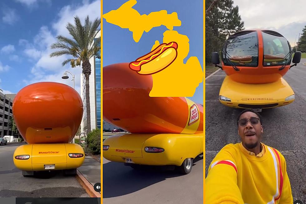 Drive 27 Foot Long WIENERMOBILE: Apply to Be Michigan ‘Hotdogger’