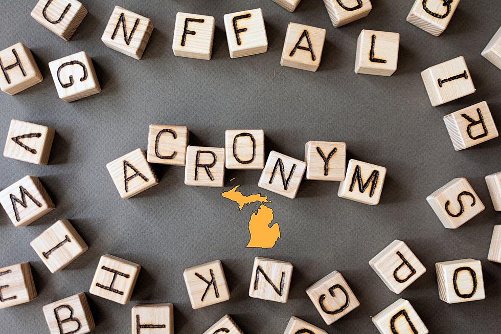 DYK What Michigan's 40 Most Searched Text Abbreviations Mean?