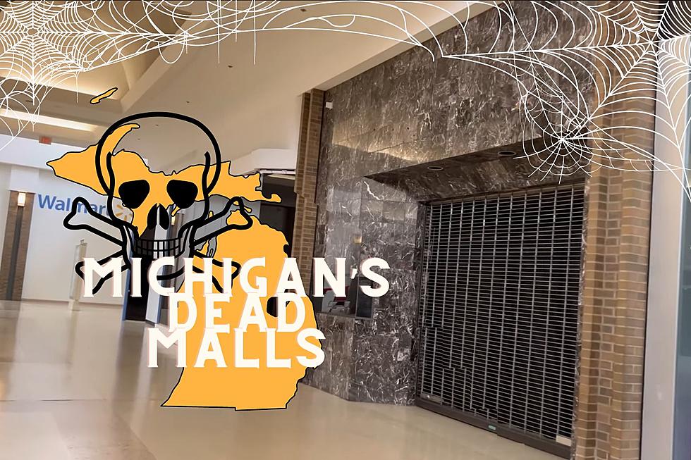 DEAD MALLS of Michigan: Jackson’s Nearly Empty Westwood Mall