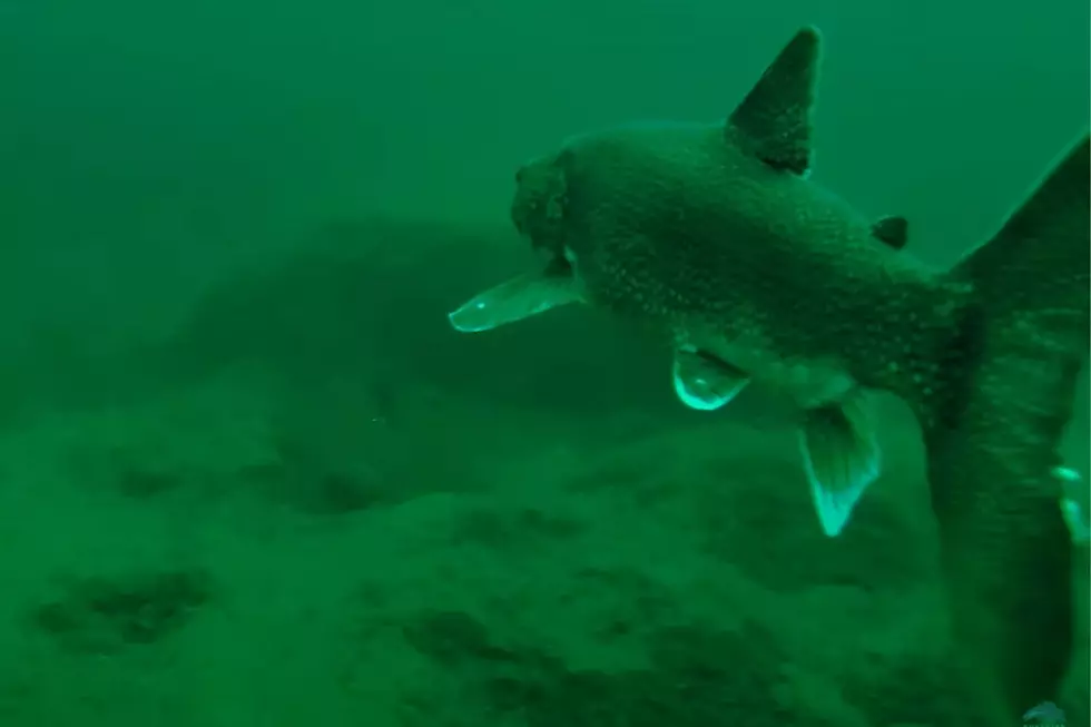 Is There Life on the Bottom of Michigan’s Lake Superior?