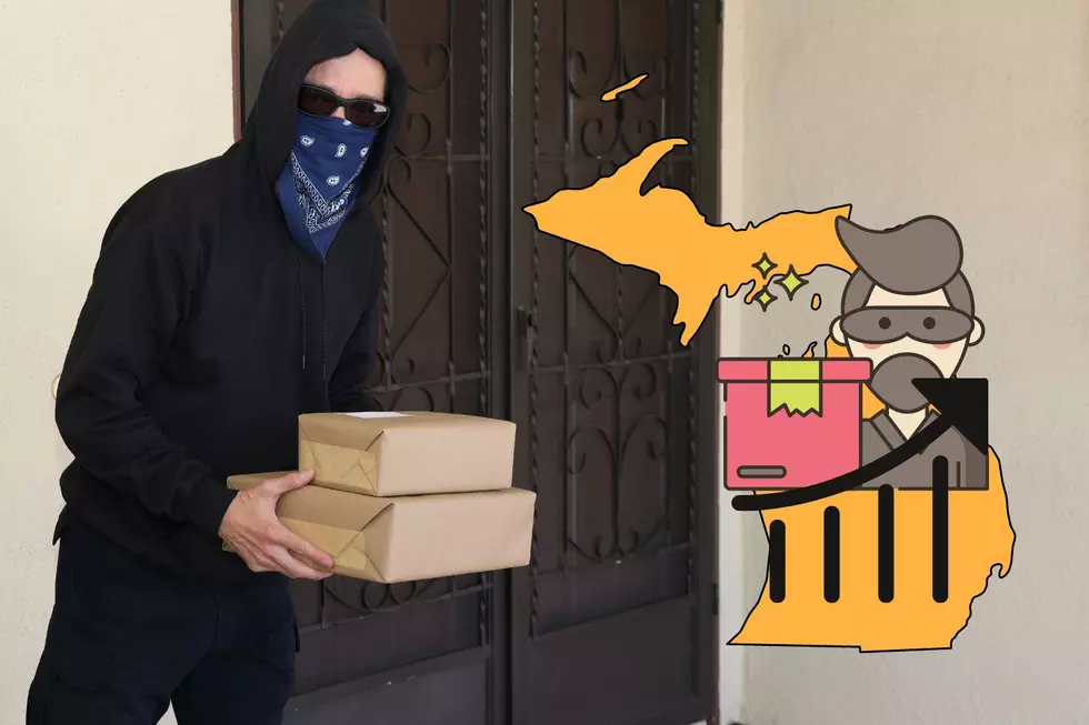 Protect Your Package: Michigan Ranks #1 in Porch Pirate Category