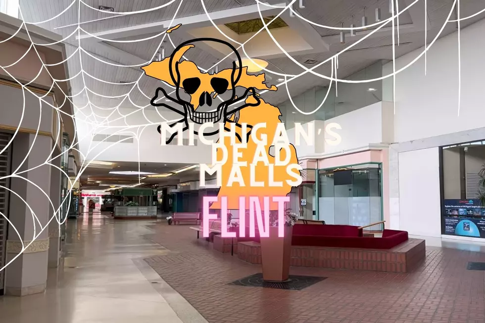 DEAD MALLS of Michigan: Flint's Courtland Center (Eastland Mall)
