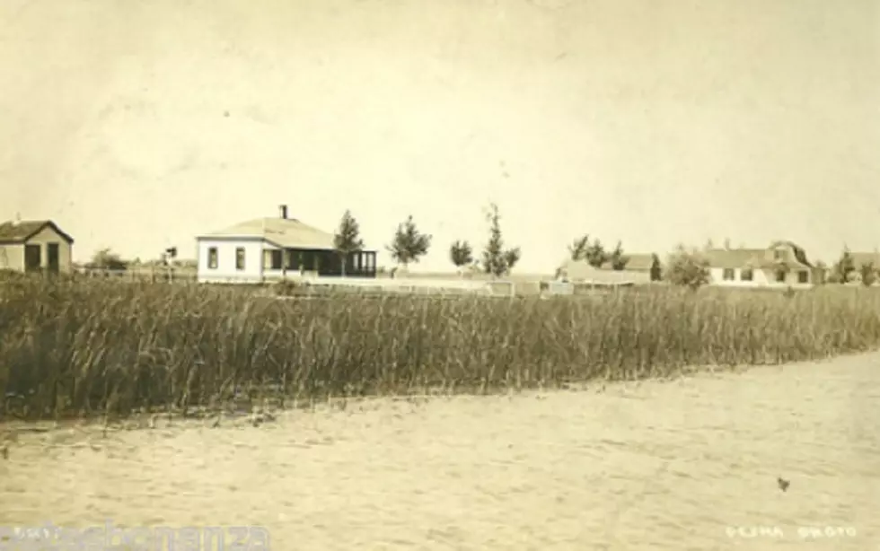 Vintage Photos of Pearl Beach and Harsen's Island: 1900-1953
