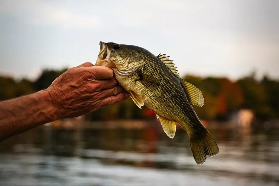 Lake St. Clair Ranks Top 10 in Bassmaster’s 2025 List