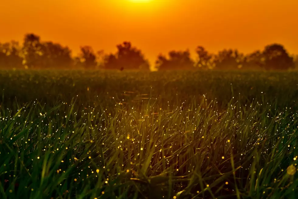 7 Things You Won't See Michigan Kids Doing This Summer