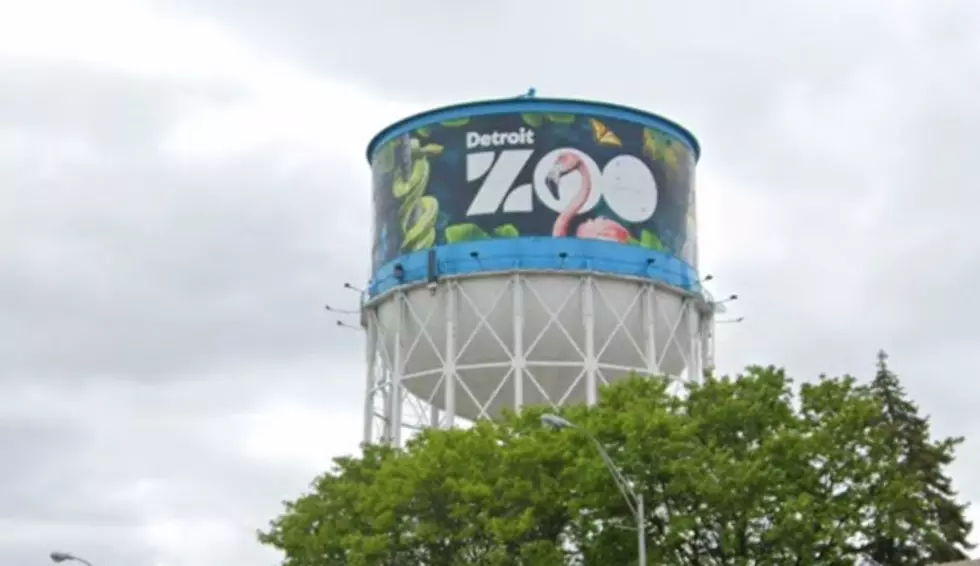 First Zoo in the U.S. to Feature Cageless Animals is in Michigan