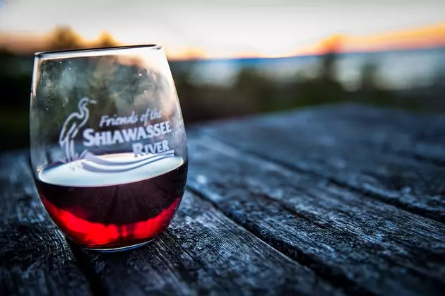 Raise A Glass to the Shiawassee River