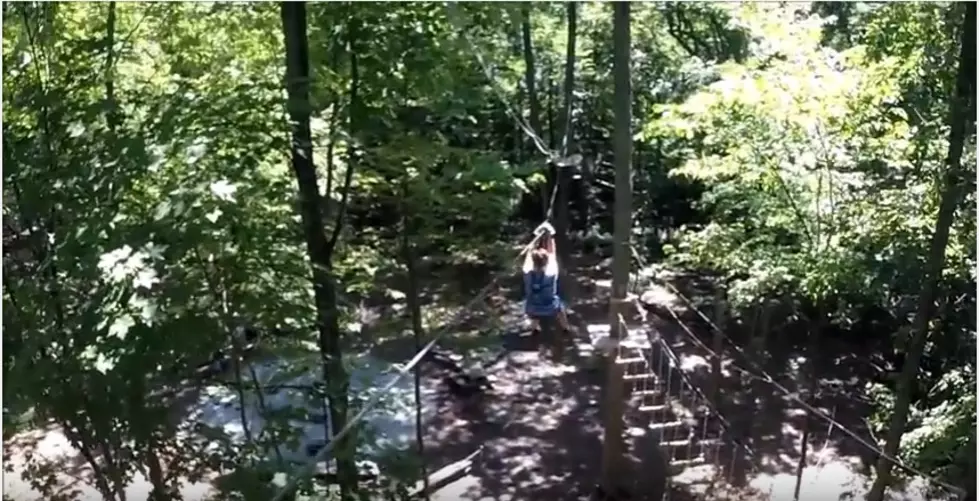 Two Adventure Parks Tucked Away In Mid-Michigan
