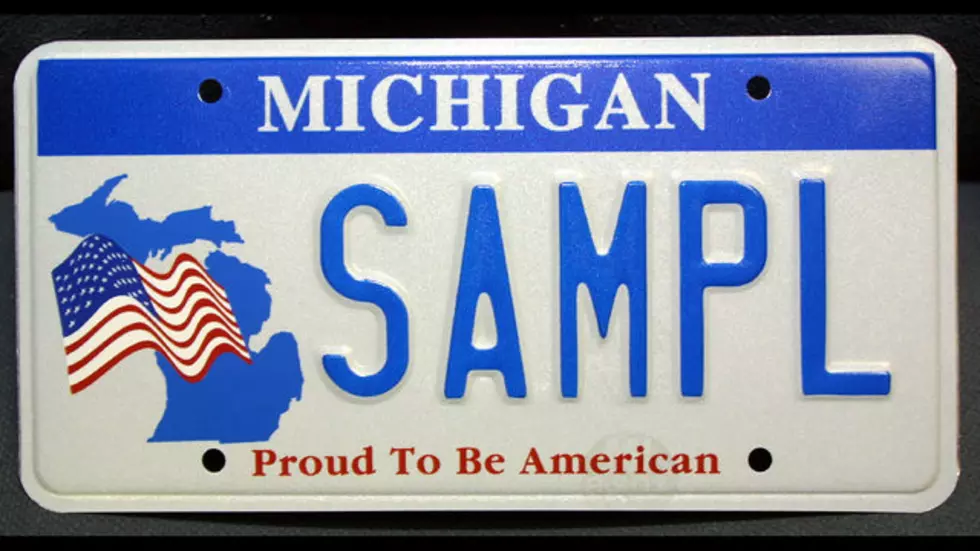 Personalized License Plates That Are Banned in Michigan