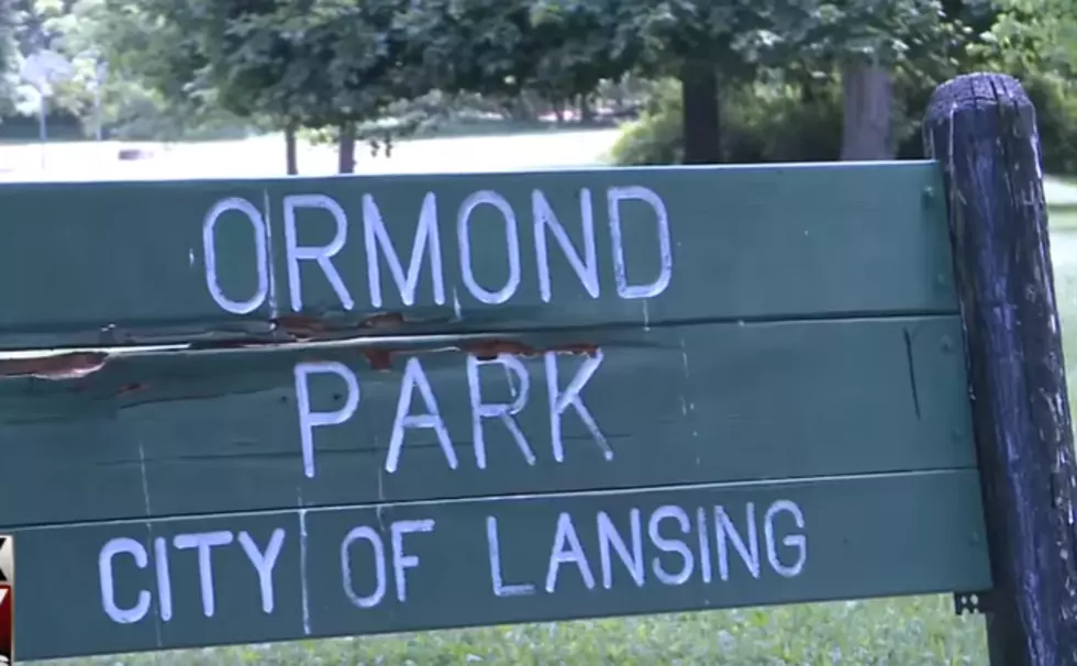 Community Fighting for Ormond Park