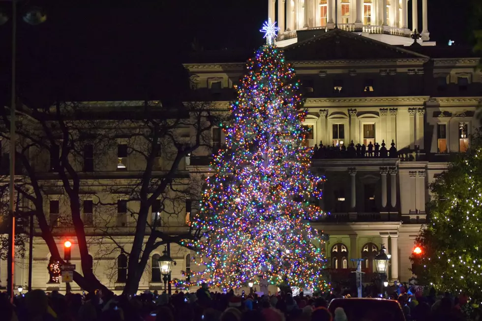 When Does The State Christmas Tree Get Here? Soon...