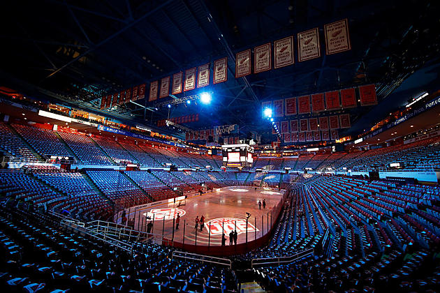 You Could Own Parts of Joe Louis Arena