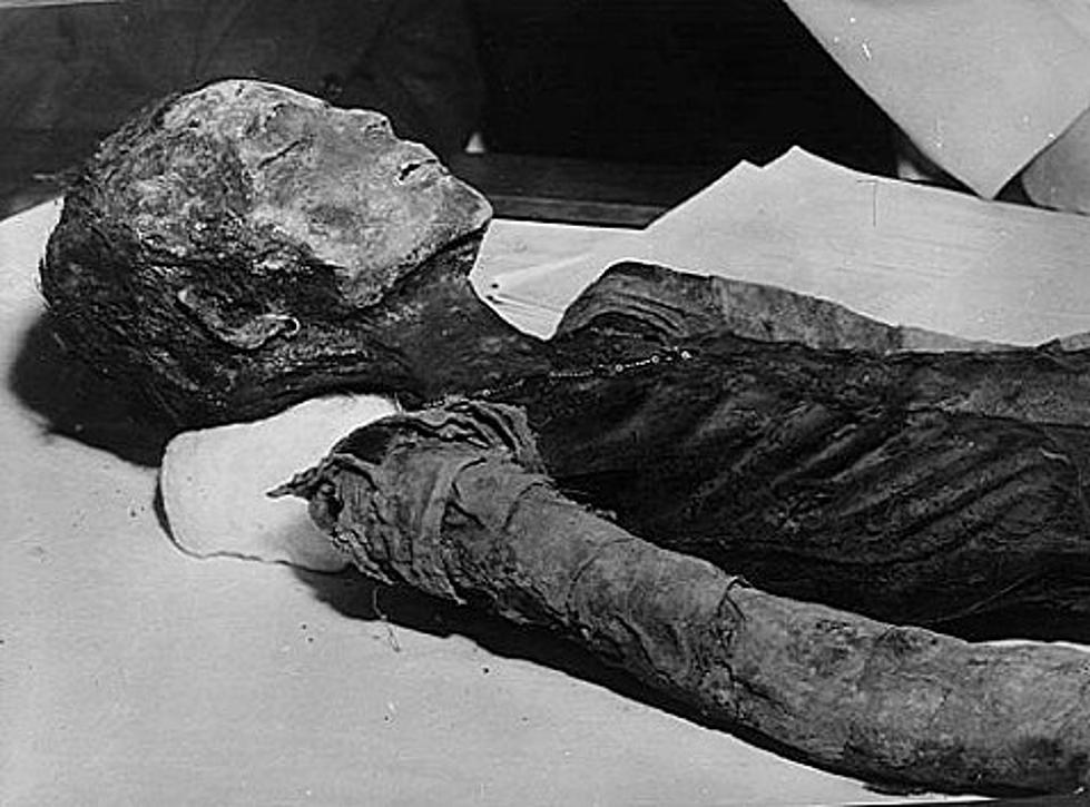 Mummies Found in Michigan!