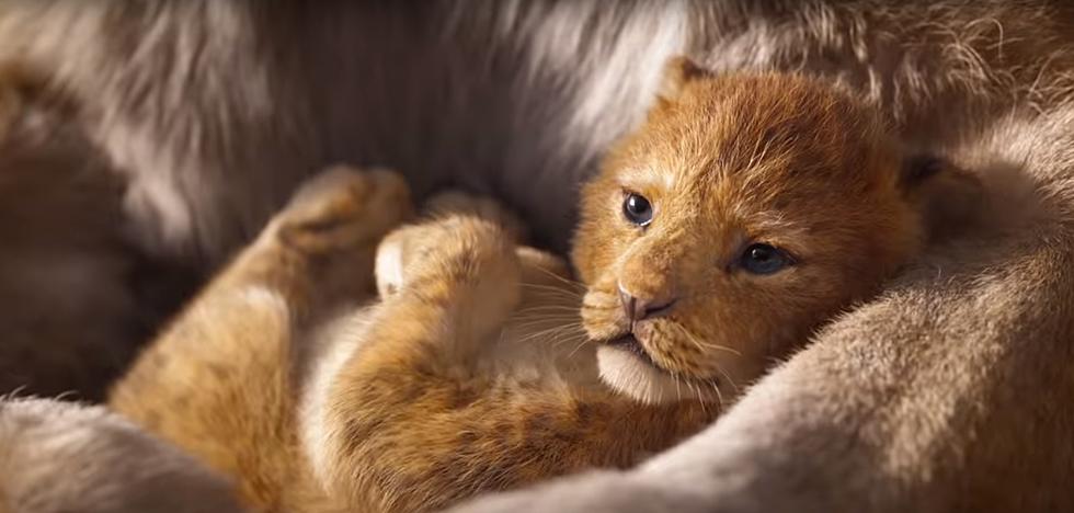 The Lion King Official Teaser Trailer - All The Feels