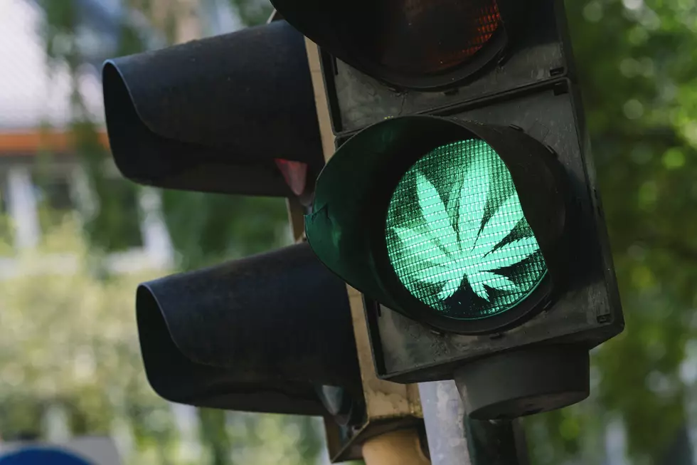 WHY Michigan Shouldn't Set A Driving Limit For Marijuana