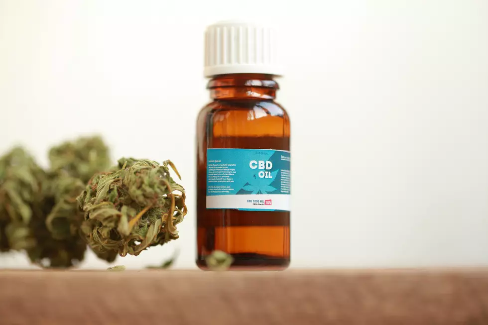 Did You Know CBD Oil Could Cause Liver Damage?