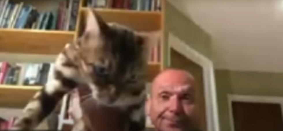 Please Don’t Drink & Throw Your Cat During The Zoom Call
