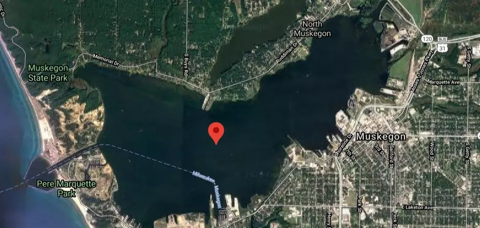 New Island Appears in This Michigan Lake