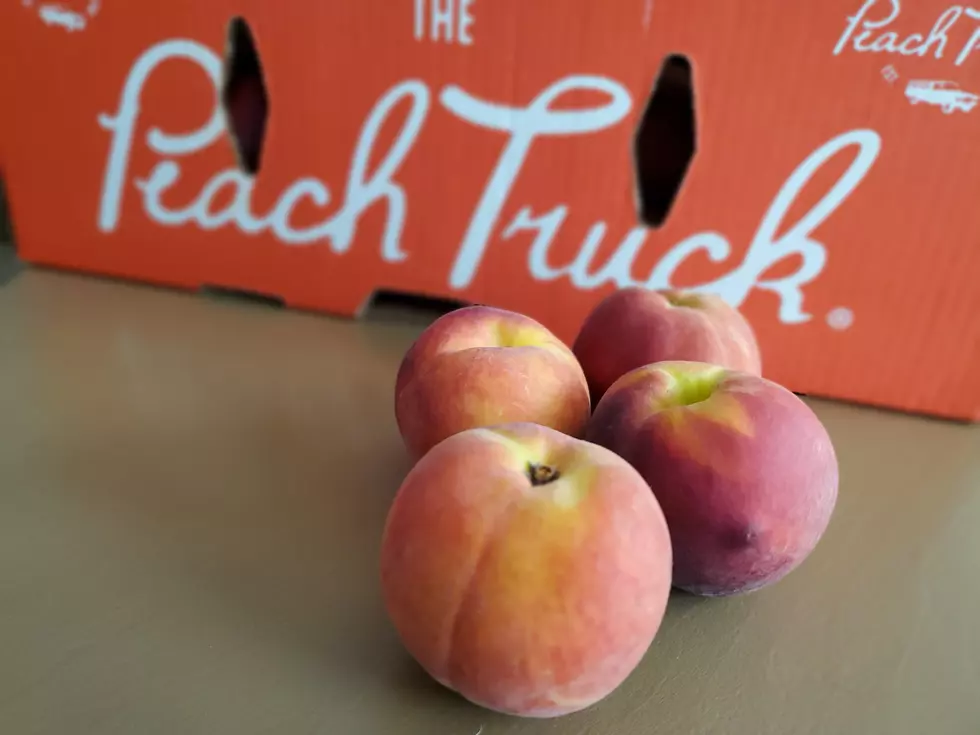 Photos: The Peach Truck @ Van Atta's, July 5th, 2020