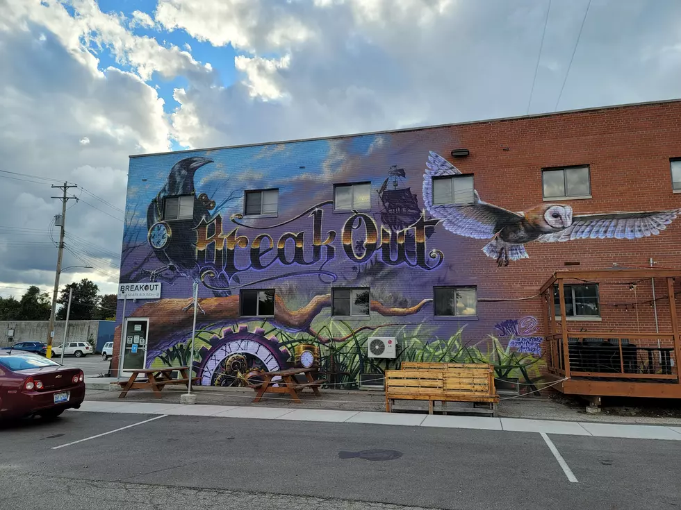 GALLERY: Where Can You Find This Mural In Lansing?