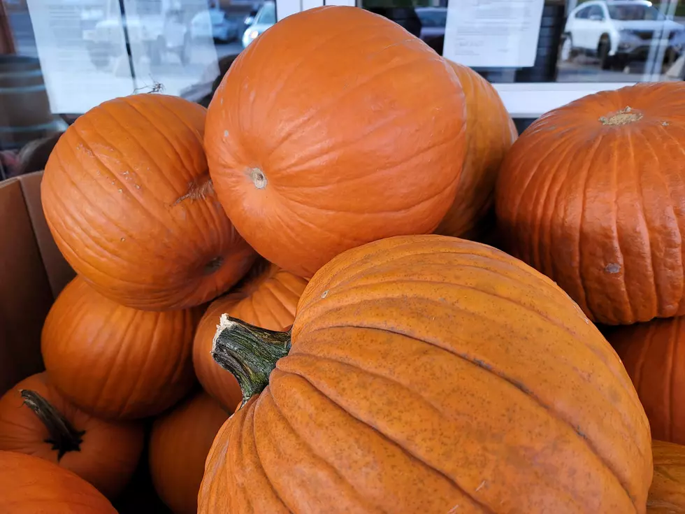 Pumpkin? Nope. That’s A Squash. We’re Not Making This Up.