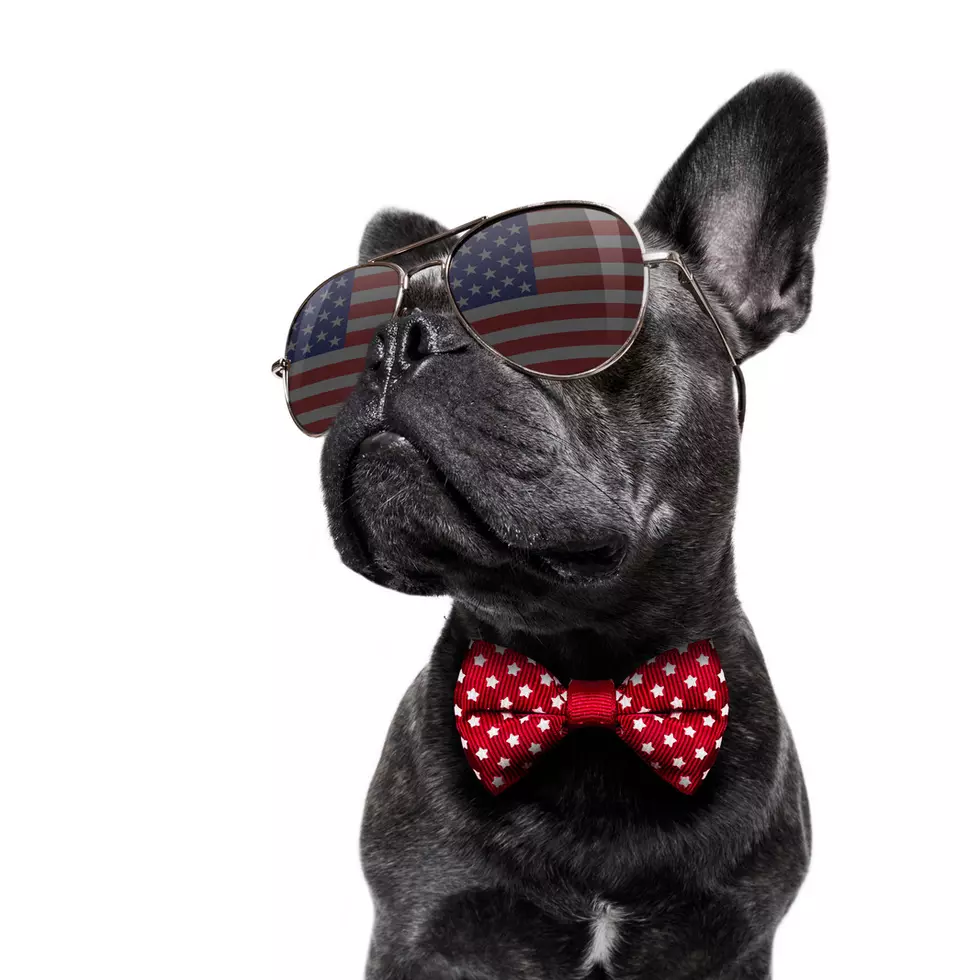Photos: The Cutest Doggone Mayor Elected Ever!