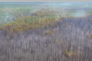 Huron National Forest Fire: Controlled Burn Gone Awry Contained