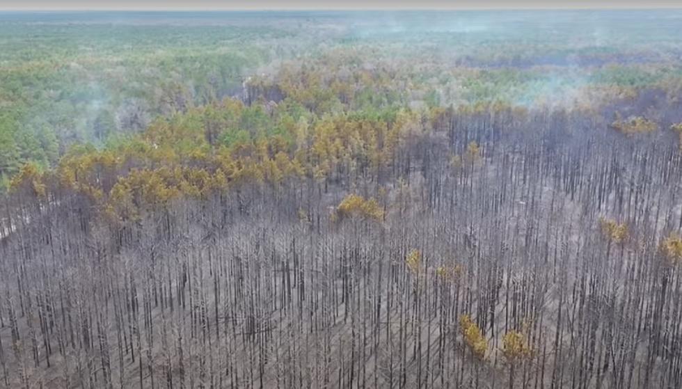 Huron National Forest Fire: Controlled Burn Gone Awry Contained